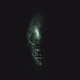 Image for article titled The First Alien: Covenant Poster Is Simple and Scary
